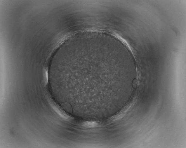 X0000113140061200909041217