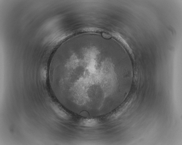 X0000113140063200909041217