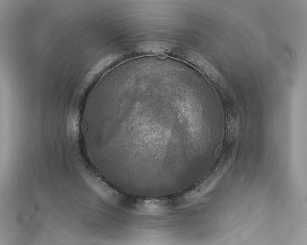 X0000113140064200909041217