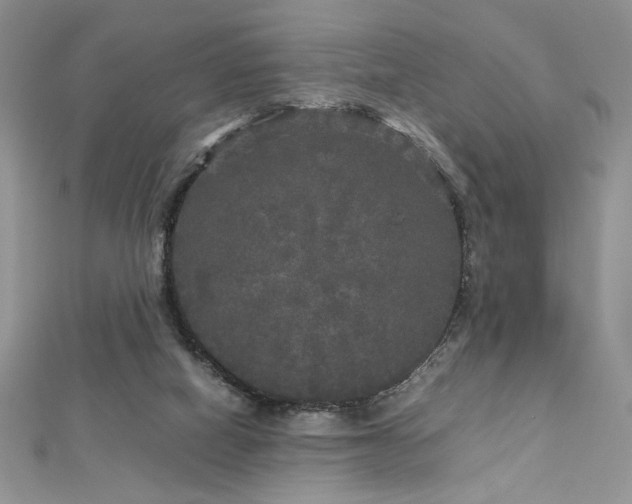 X0000113140066200909041217