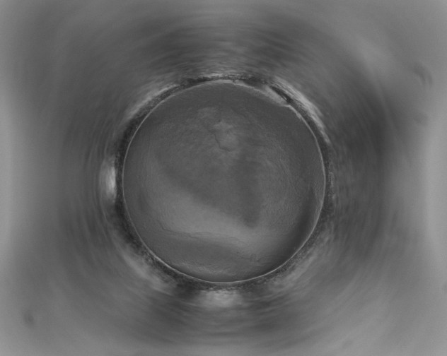 X0000113140067200909041217