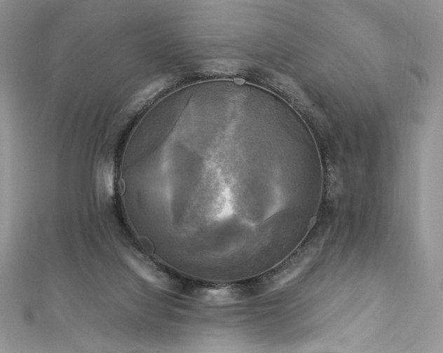 X0000113140068200909041217