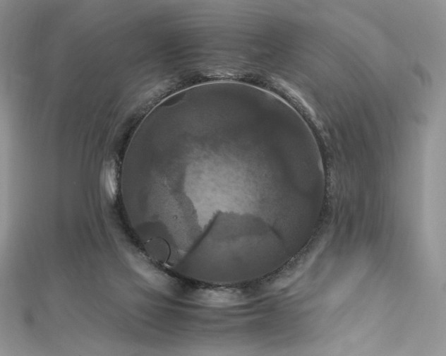 X0000113140069200909041217