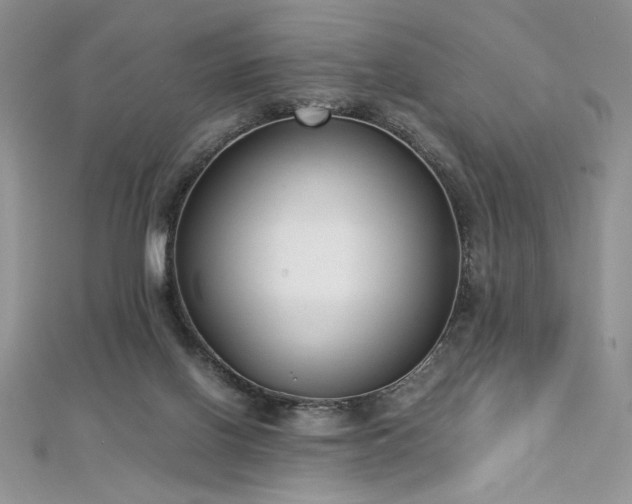 X0000113140070200909041217