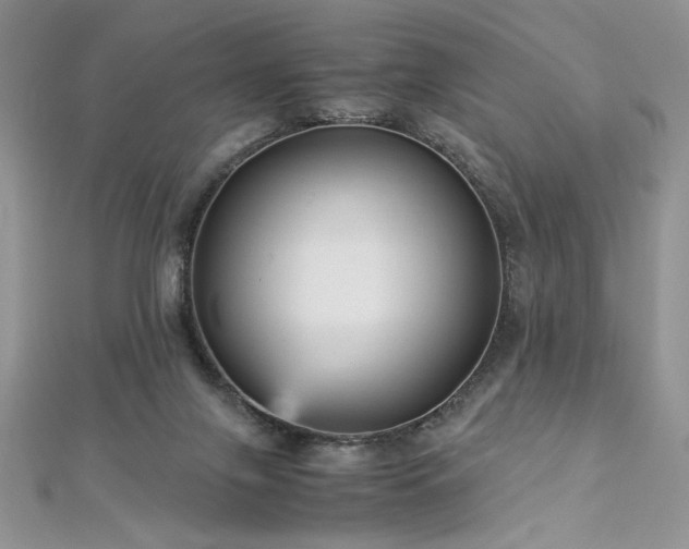 X0000113140071200909041217