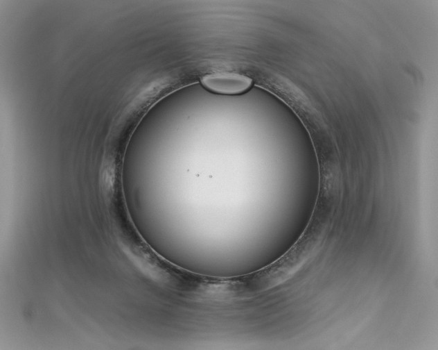 X0000113140072200909041217