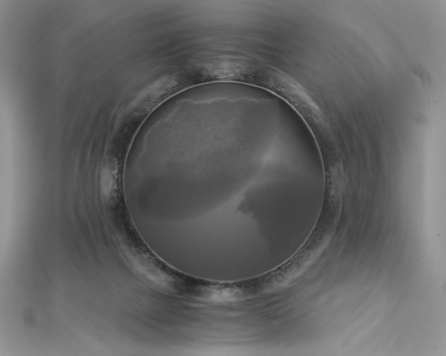 X0000113140073200909041217