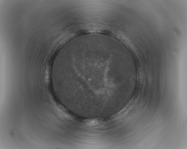 X0000113140074200909041217