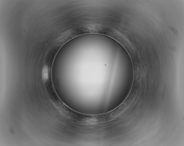 X0000113140075200909041217