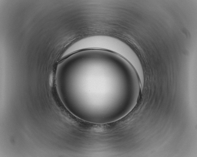 X0000113140076200909041217