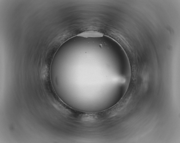 X0000113140077200909041217