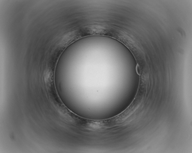 X0000113140079200909041217