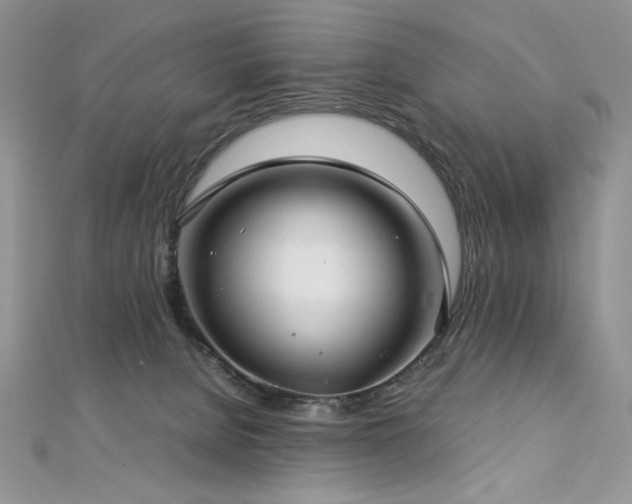 X0000113140080200909041217