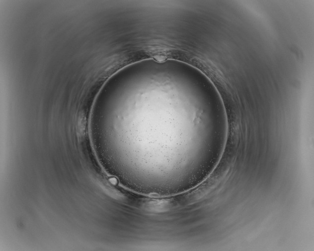 X0000113140081200909041217