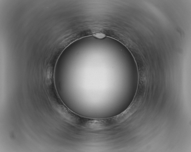 X0000113140082200909041217