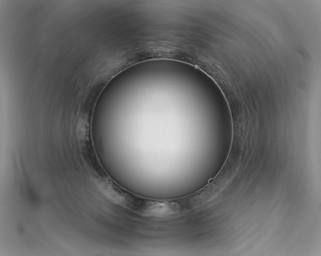 X0000113140083200909041217