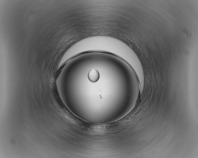 X0000113140084200909041217