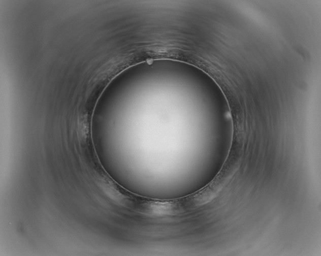 X0000113140085200909041217