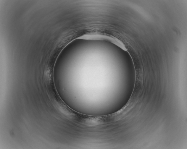 X0000113140086200909041217