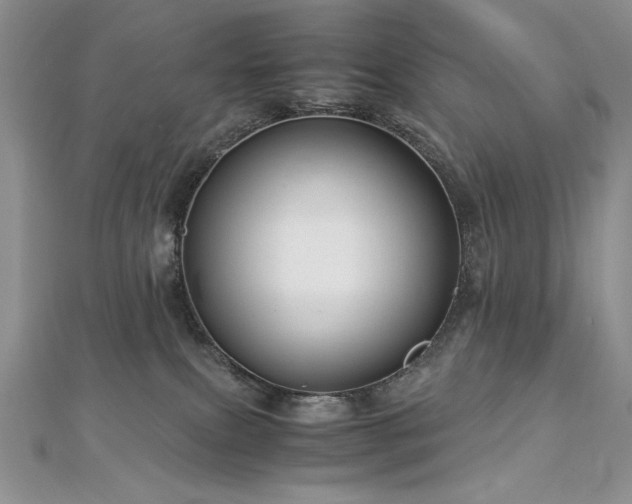 X0000113140087200909041217