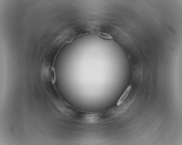 X0000113140088200909041217