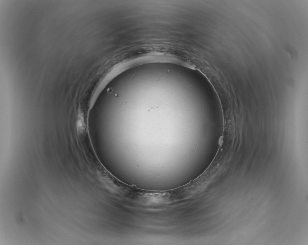 X0000113140089200909041217