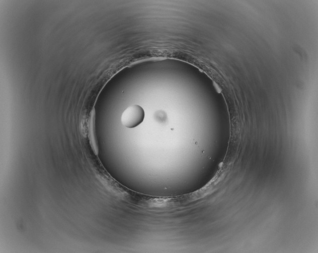 X0000113140090200909041217