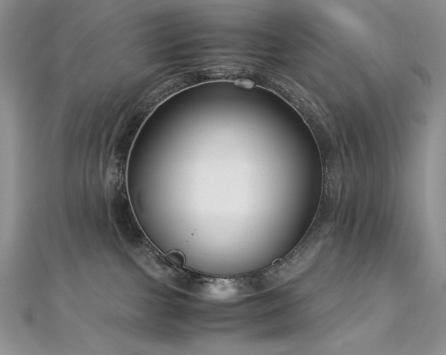 X0000113140091200909041217