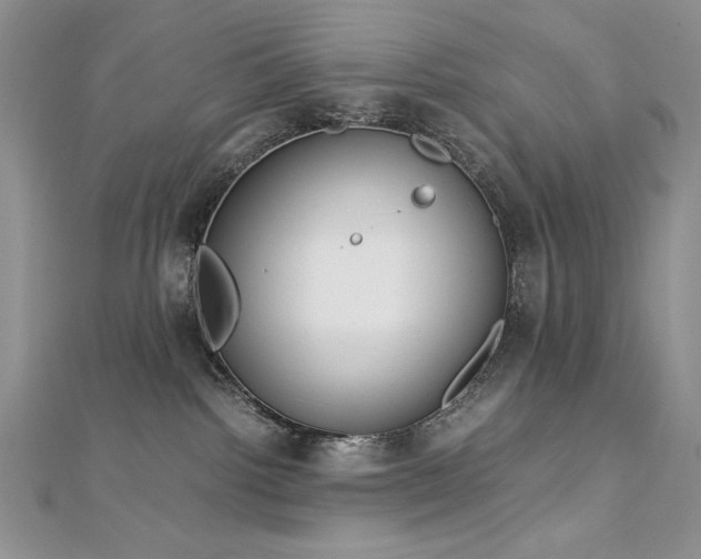 X0000113140092200909041217