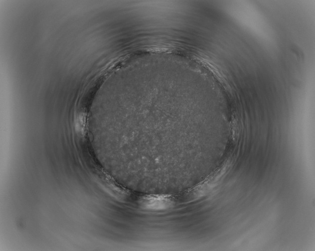 X0000113140093200909041217