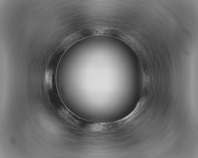 X0000113140094200909041217