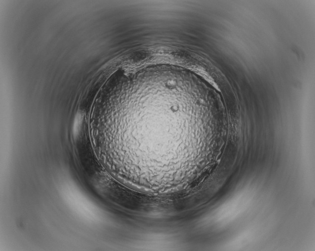 X0000113140095200909041217