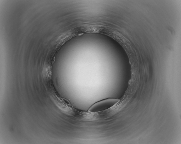 X0000113140096200909041217