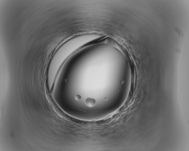 X0000113140097200909041217