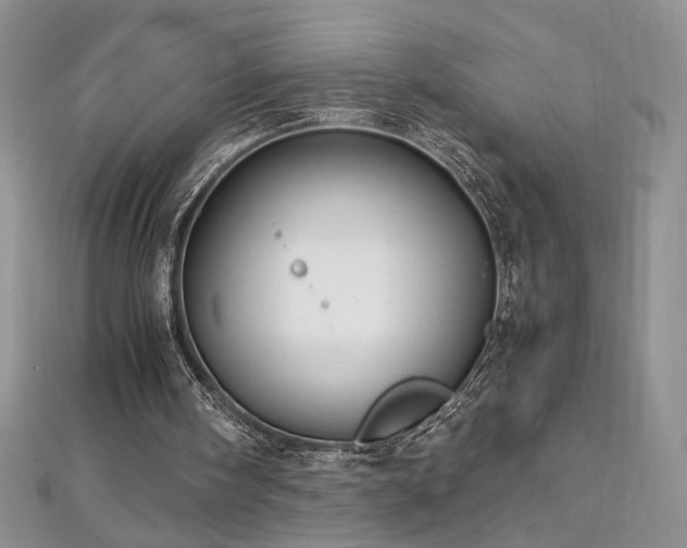 X0000113140098200909041217