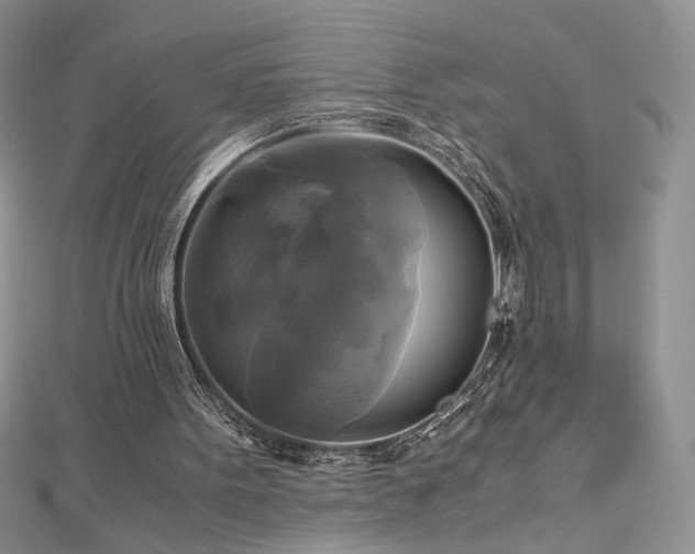 X0000113140099200909041217