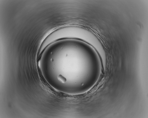 X0000113140100200909041217