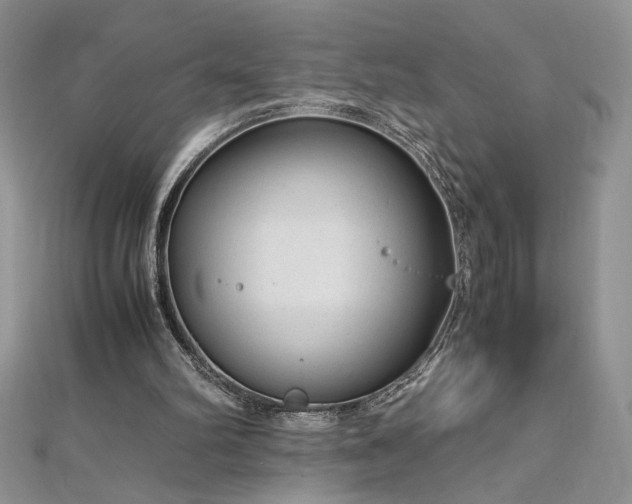 X0000113140102200909041216