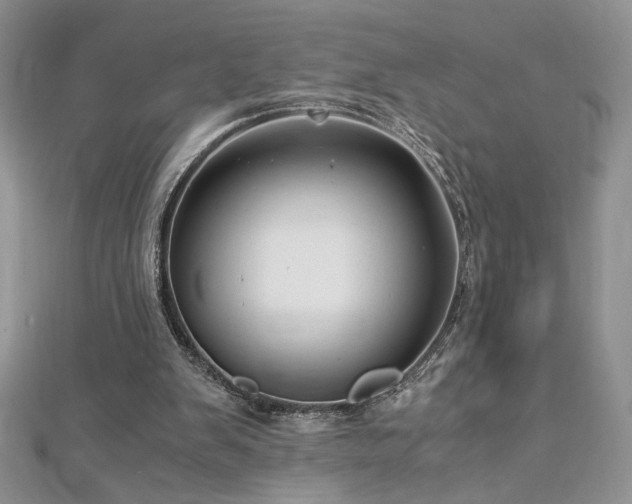 X0000113140103200909041216