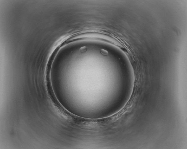 X0000113140104200909041216