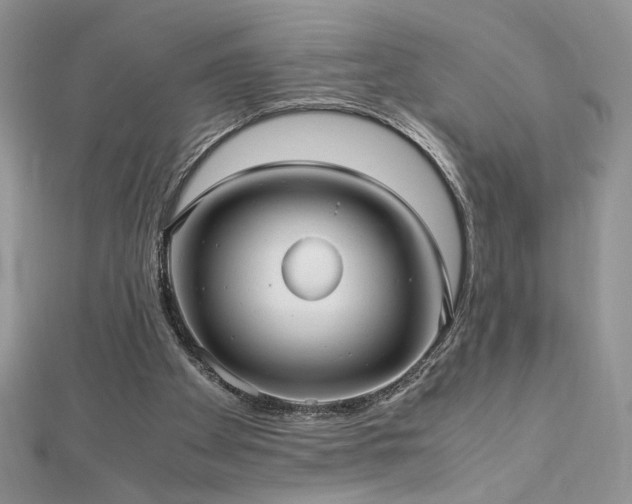 X0000113140105200909041216