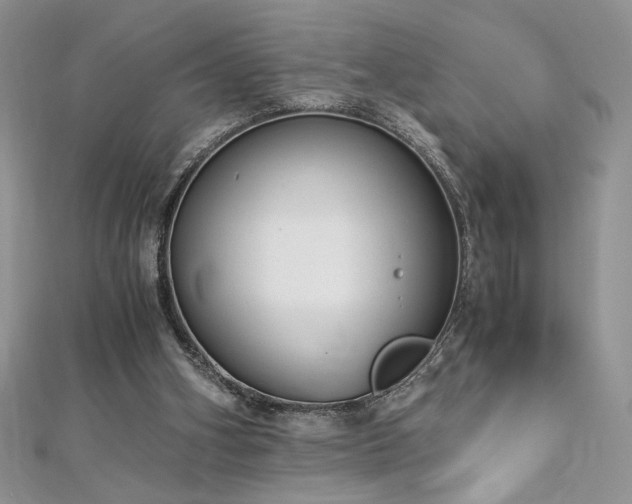 X0000113140106200909041216