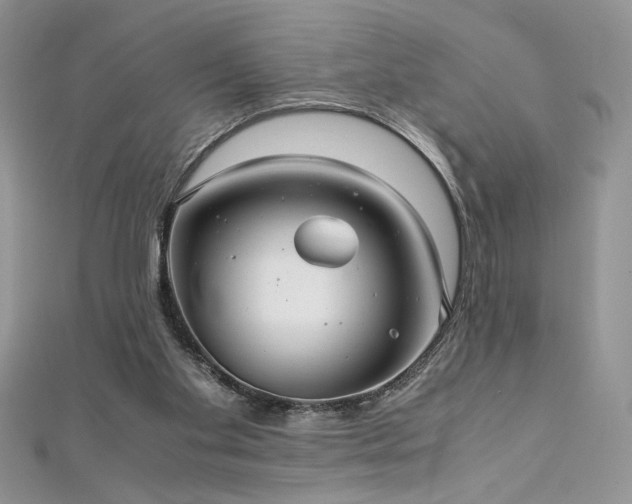 X0000113140109200909041216