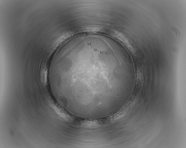 X0000113140110200909041216