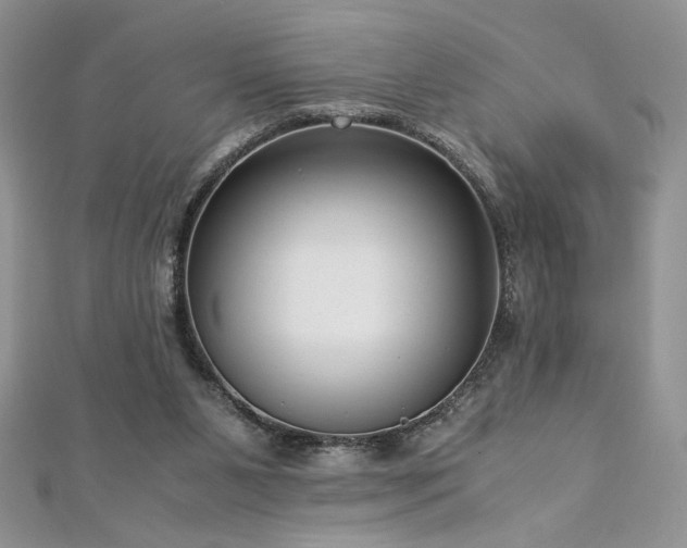 X0000113140111200909041216