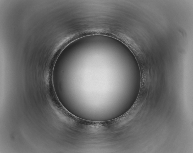 X0000113140112200909041216