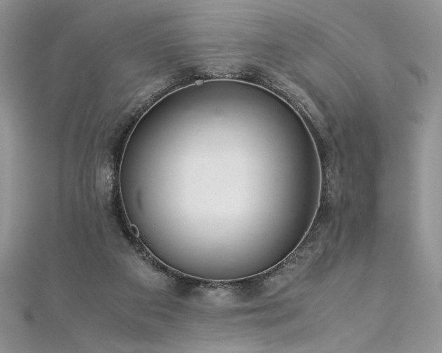 X0000113140113200909041216