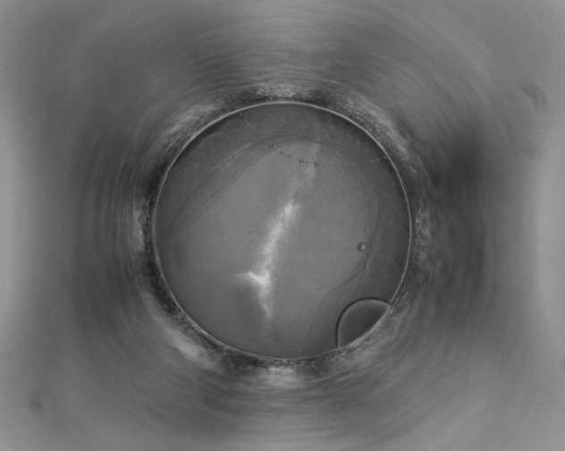 X0000113140114200909041216