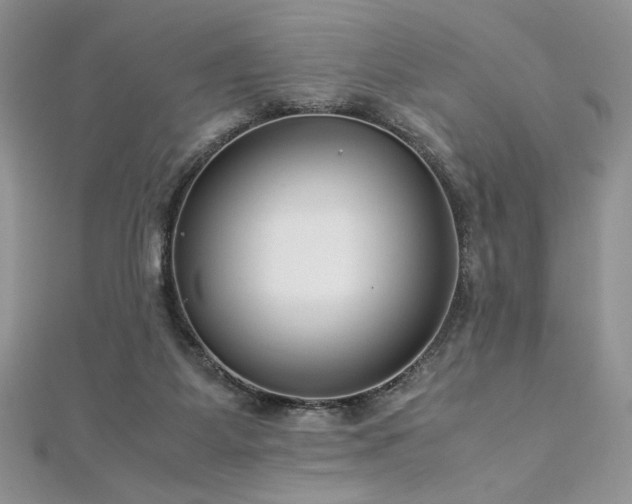 X0000113140115200909041216