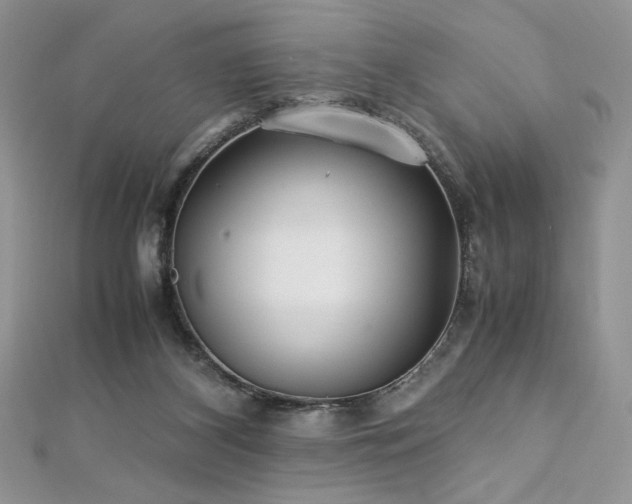 X0000113140116200909041216